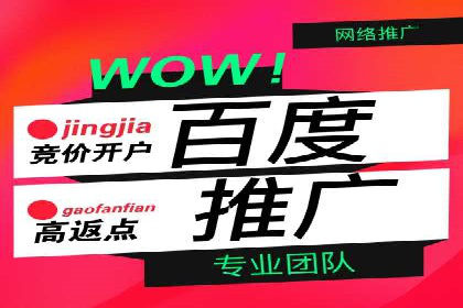 案例剖析：SEM服务助力企业转型